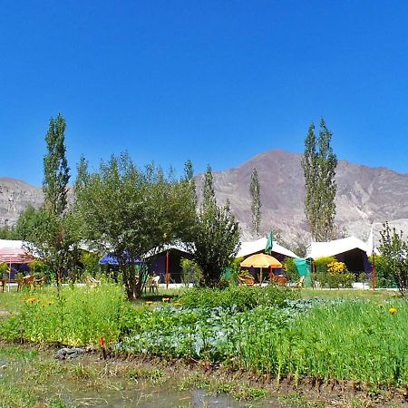 فندق Tiger Camp نوبرا المظهر الخارجي الصورة