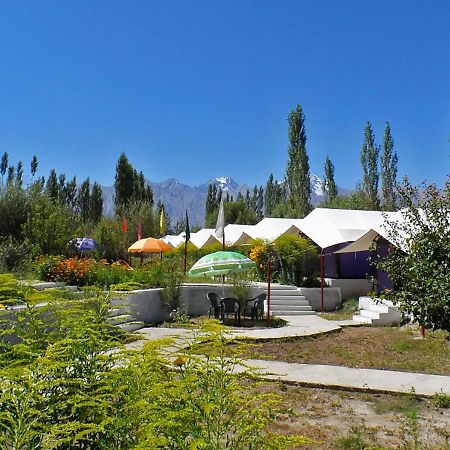 فندق Tiger Camp نوبرا المظهر الخارجي الصورة