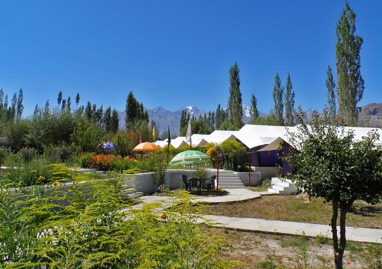 فندق Tiger Camp نوبرا المظهر الخارجي الصورة